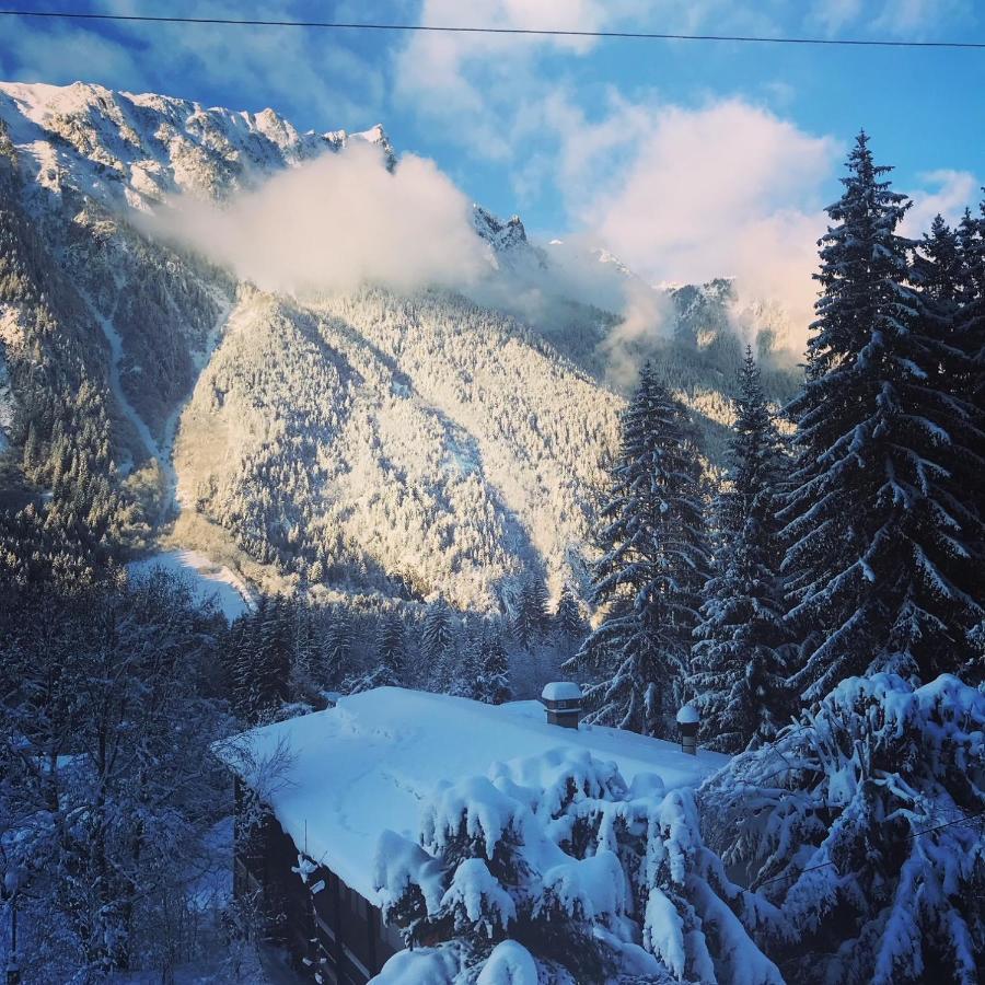 שאמוני Appartement Cosy Au Pied Du Mtblanc מראה חיצוני תמונה