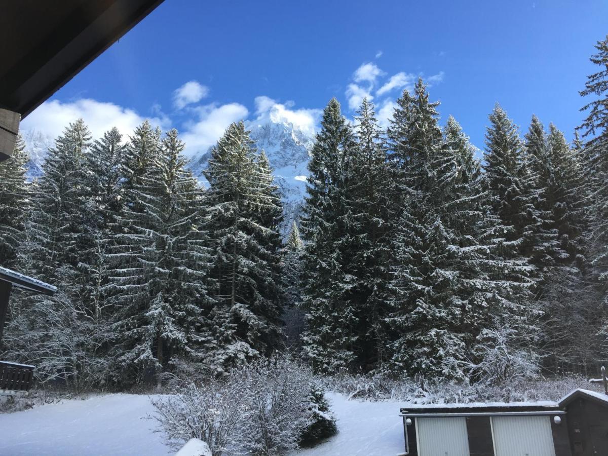שאמוני Appartement Cosy Au Pied Du Mtblanc מראה חיצוני תמונה